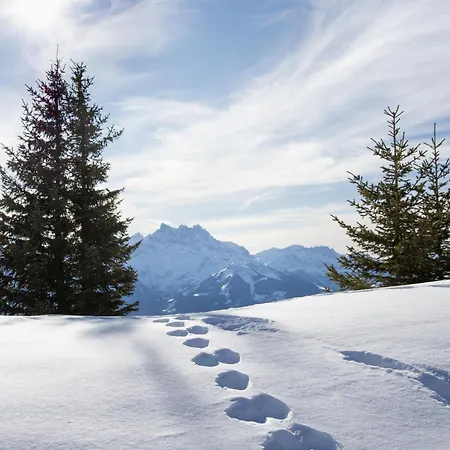 Montagnards 13 By Interhome Appartement Villars-sur-Ollon