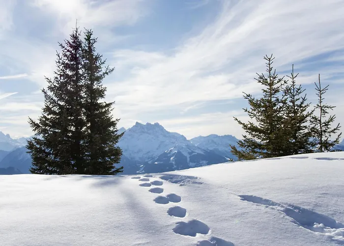 Montagnards 13 By Interhome Apartamento Villars-sur-Ollon