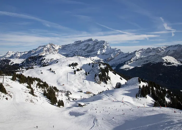 Montagnards 13 By Interhome Appartement Villars-sur-Ollon